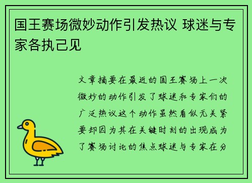 国王赛场微妙动作引发热议 球迷与专家各执己见
