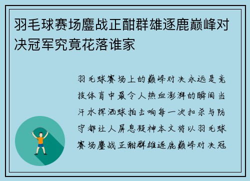 羽毛球赛场鏖战正酣群雄逐鹿巅峰对决冠军究竟花落谁家