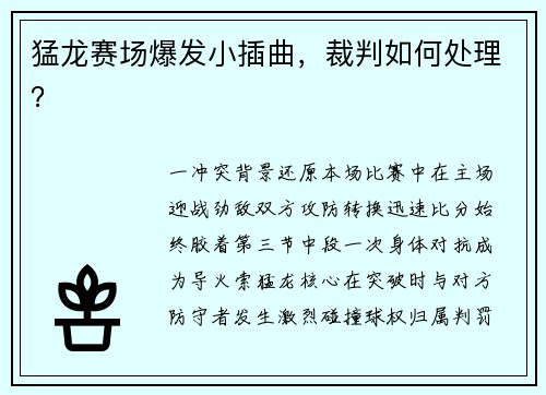 猛龙赛场爆发小插曲，裁判如何处理？