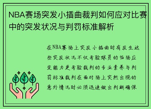 NBA赛场突发小插曲裁判如何应对比赛中的突发状况与判罚标准解析